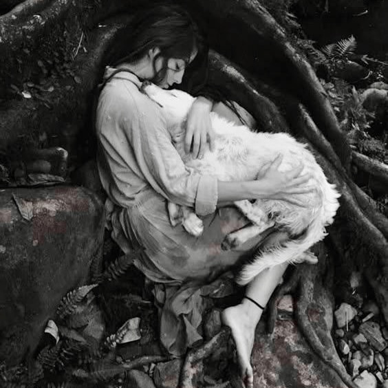 Himmelhollerbrennnessel - 
Räucherwochendende Dezember 2021